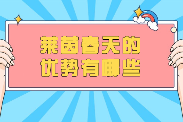 济南德语培训选莱茵春天？三大核心优势深度解析