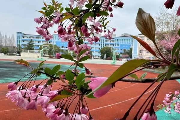 校园操场一角环境