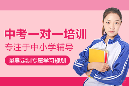 中考一对一培训班