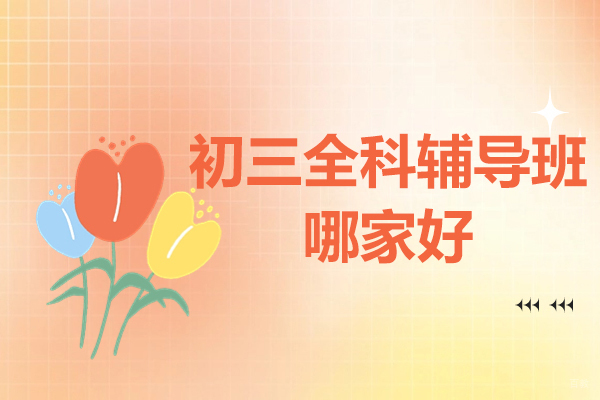 北京初中辅导-北京初三全科辅导班哪家好-锐思教育