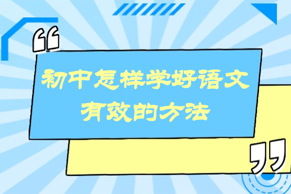 初中怎样学好语文最有效的方法-怎么学才能学好