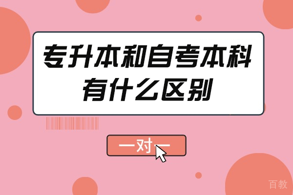 青岛学历提升必读:全面解析统招专升本与自考本科差异