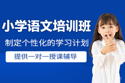 广州小学语文定制课程深度解析:专业师资+分阶提升方案