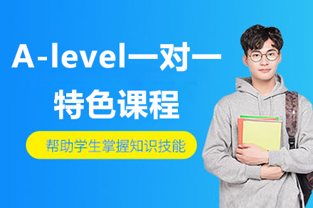 上海A-level一对一特色课程