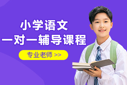 杭州小学语文一对一辅导课程