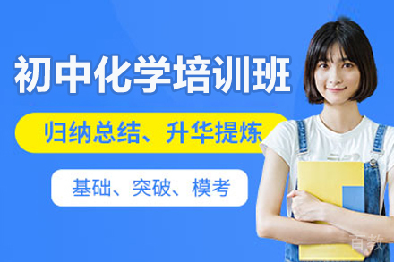 广州初中化学培训班