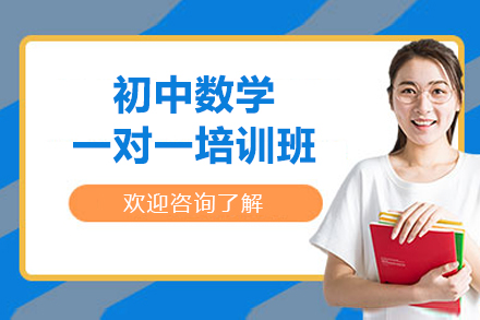 西安初中数学一对一培训班