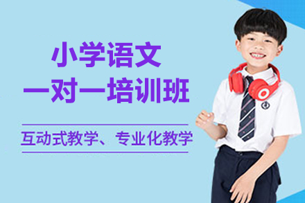 西安小学语文一对一培训班
