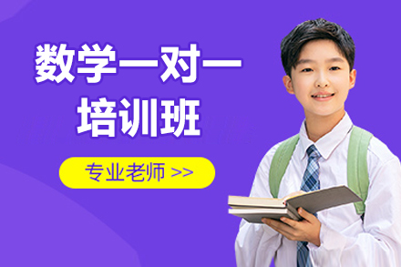 西安小学数学一对一培训班
