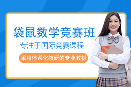 袋鼠数学挑战赛课程