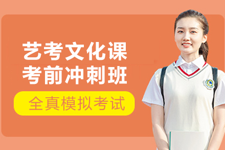 石家庄艺考文化课考前冲刺班