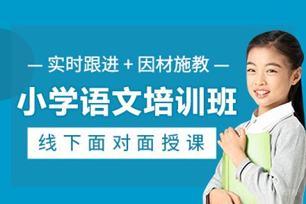 深圳小学语文一对一培训班