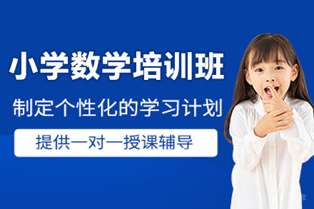 深圳小学数学一对一培训班