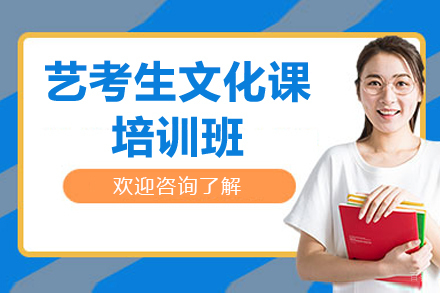深圳艺考生文化课培训班