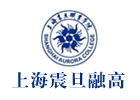 上海震旦融高