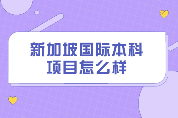 新加坡国际本科项目怎么样