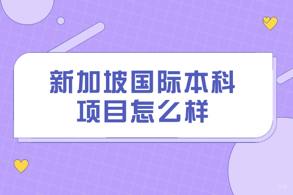 新加坡国际本科项目怎么样