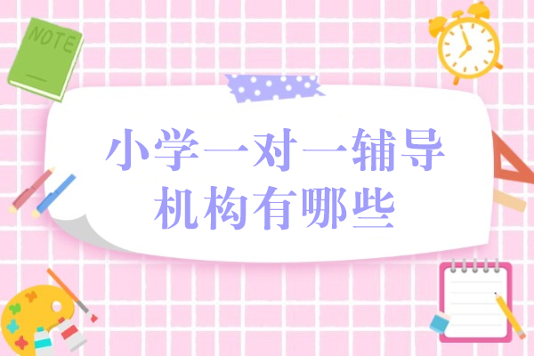 小学一对一辅导机构有哪些-小学一对一辅导机构哪家好