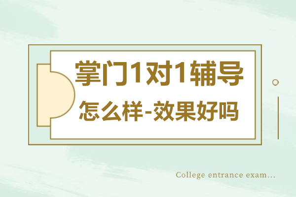 掌门一对一辅导怎么样-效果好吗