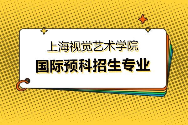 上海视觉艺术学院国际预科招生专业有哪些