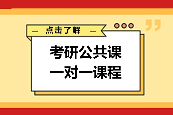 上海考研公共课一对一课程-海文考研
