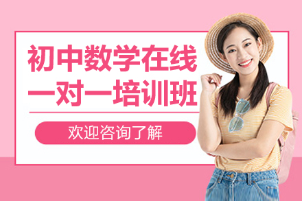 初中數(shù)學(xué)在線一對一培訓(xùn)班