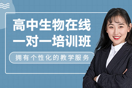 高中生物在線一對一培訓(xùn)班