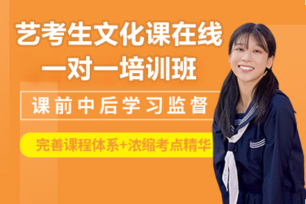 藝考生文化課在線一對一培訓(xùn)班