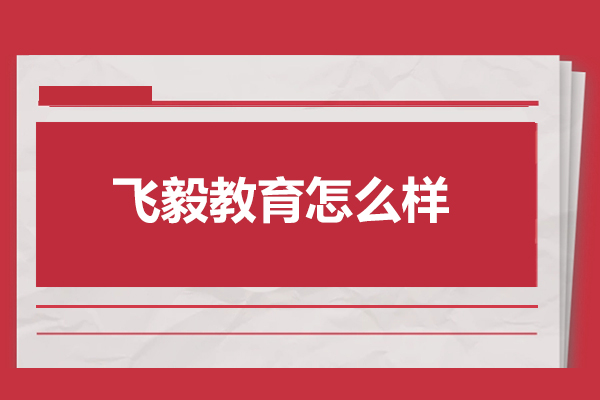 武汉飞毅教育怎么样