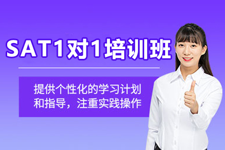 沈阳SAT一对一培训班