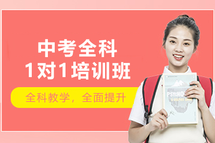 天津中考全科1对1培训班
