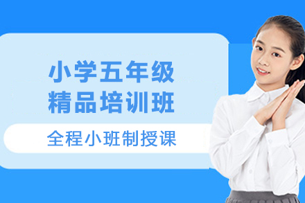 天津小学五年级精品培训班