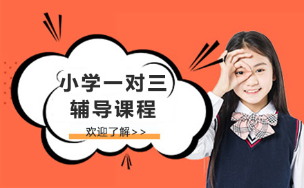 上海小学一对三全科辅导课程