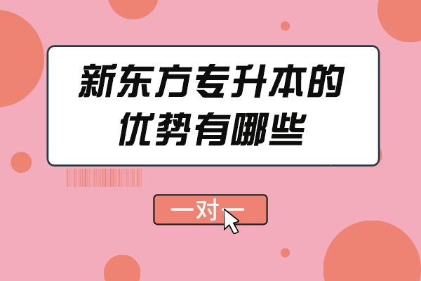 青島新東方專升本的優勢有哪些