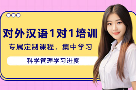 天津对外汉语1对1培训班