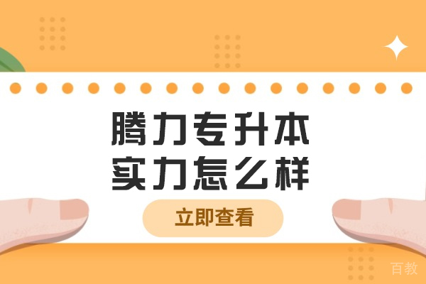 沈阳腾力专升本深度解析:教学特色与升学保障全揭秘