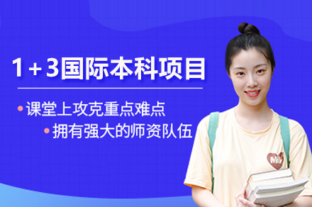 哈尔滨工业大学(威海)1+3国际本科项目