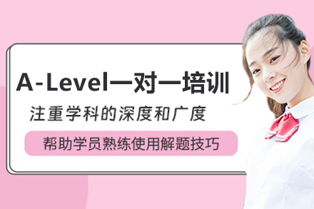 武汉A-Level一对一培训班