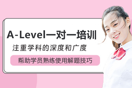 武汉A-Level一对一培训班