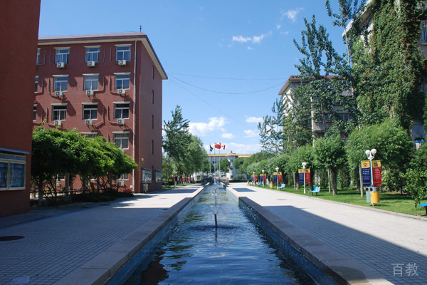 北京中加学校校园环境展示