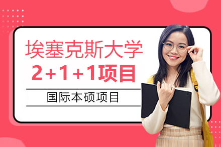 沈阳埃塞克斯大学2+1+1国际本硕课程全解析：从课程设计到升学优势全揭秘