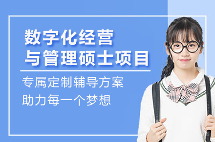 法国布雷斯特商学院数字化转型硕士深度解析