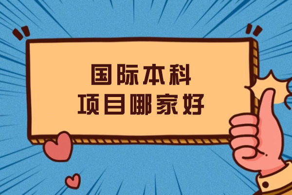 沈阳国际本科项目哪家好