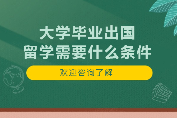 大学毕业生留学通关指南：六大核心条件深度解析