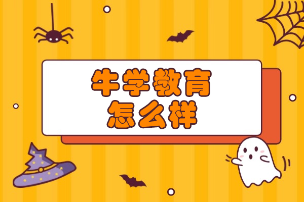 威海牛学教育怎么样