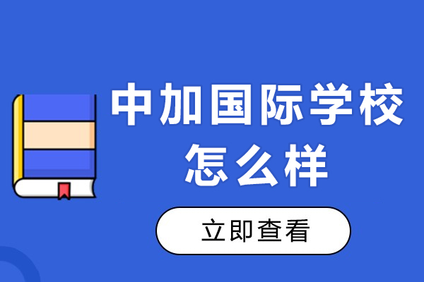 中加国际学校怎么样-有哪些特色