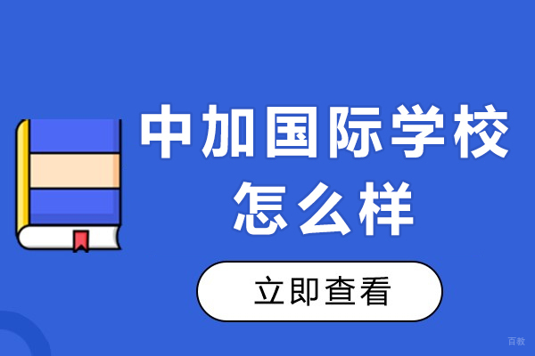 中加国际学校怎么样-有哪些特色