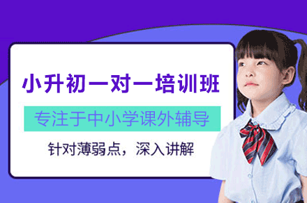 南昌小升初一对一辅导新选择：爱管云个性化教学体系全解析