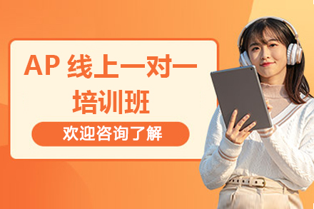 AP線上一對一培訓(xùn)班