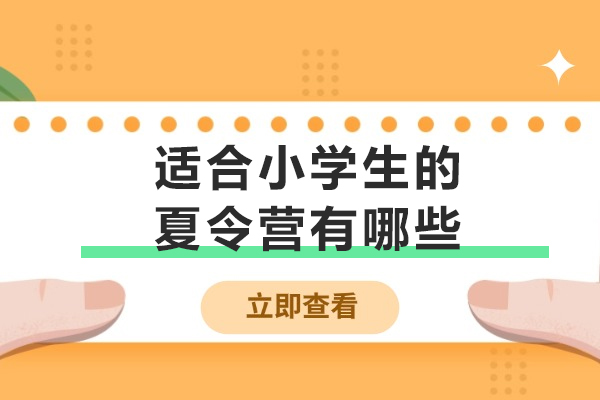 适合小学生的夏令营有哪些-夏令营的费用是多少